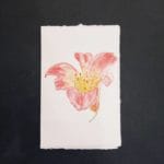 Greeting card with flowers in Amalfi paper with decoration of a lily painted in watercolor.