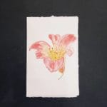 Biglietto di auguri con fiori in carta di Amalfi con decoro di un giglio dipinto ad acquerello.