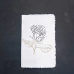 Amalfi paper cards with blue rose